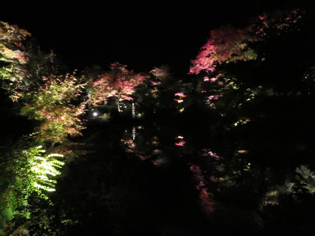 Nikko Pension L'Escale Экстерьер фото