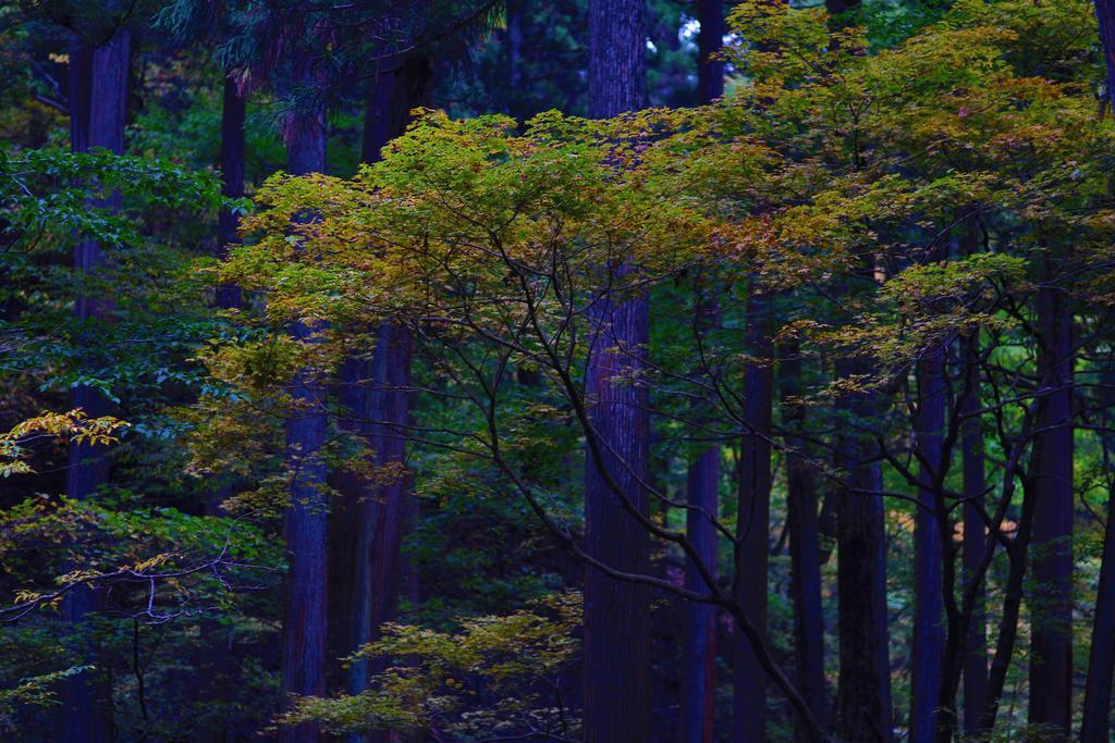 Nikko Pension L'Escale Экстерьер фото